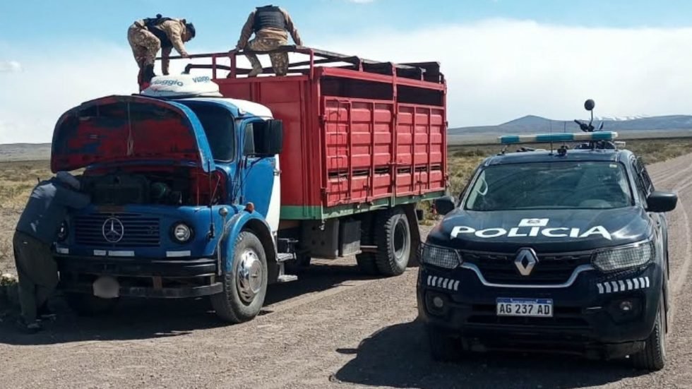 Dos operativos en rutas de Malargüe terminaron con 41 animales secuestrados. 1 portada rural malargue 980x551 1